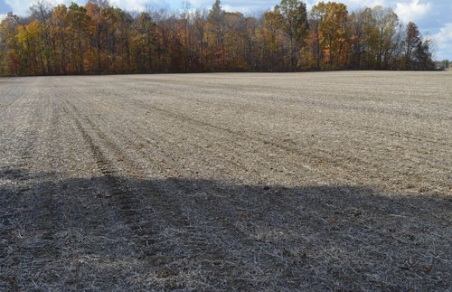 Property photo 8 - 75.3 Acres Offered in 2 Tracts